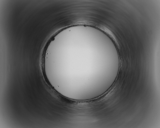 X0000088631043200705250854
