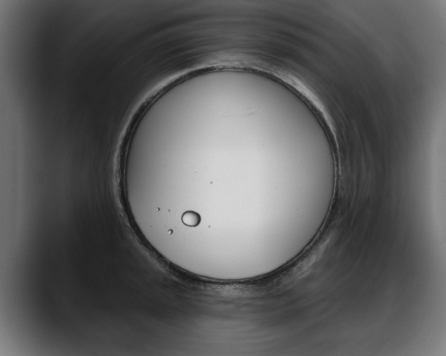 X0000088631045200705250854
