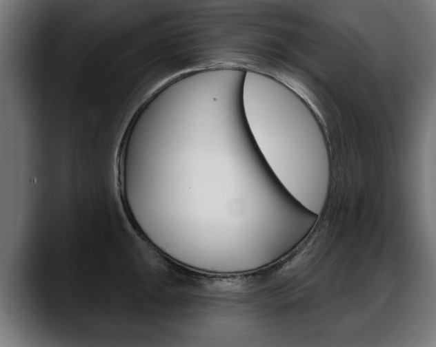 X0000088631047200705250854