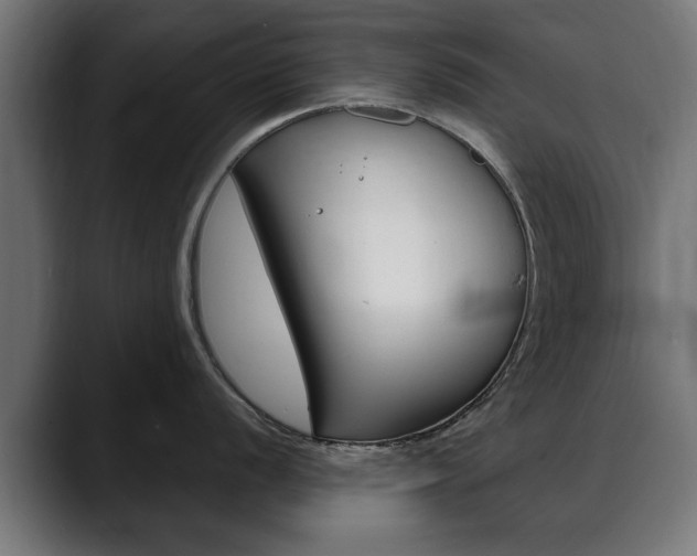 X0000088631056200705250854
