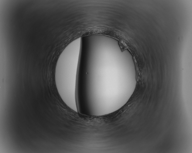 X0000088631058200705250853