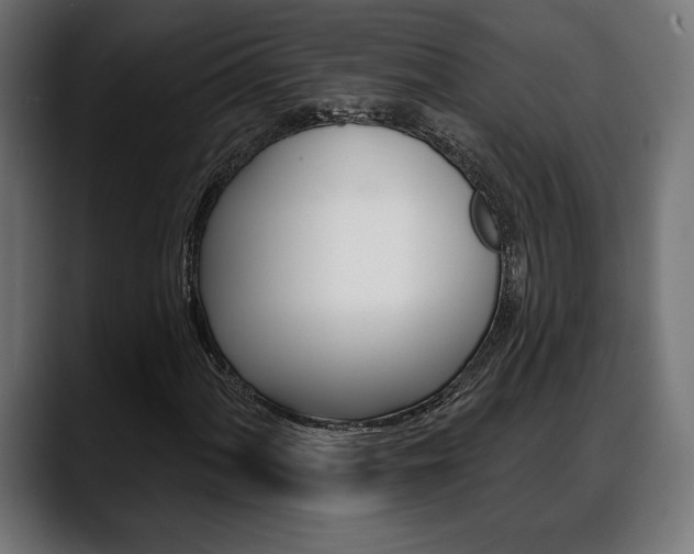 X0000088631060200705250853