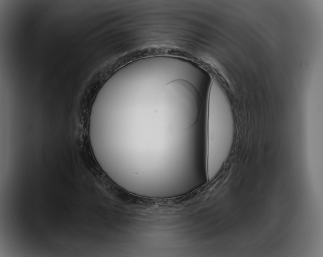 X0000088631064200705250853
