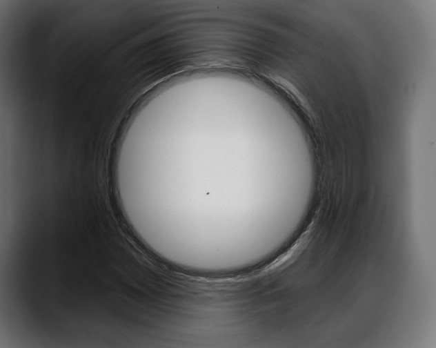 X0000088631065200705250853