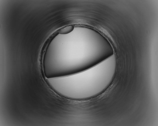 X0000088631068200705250853