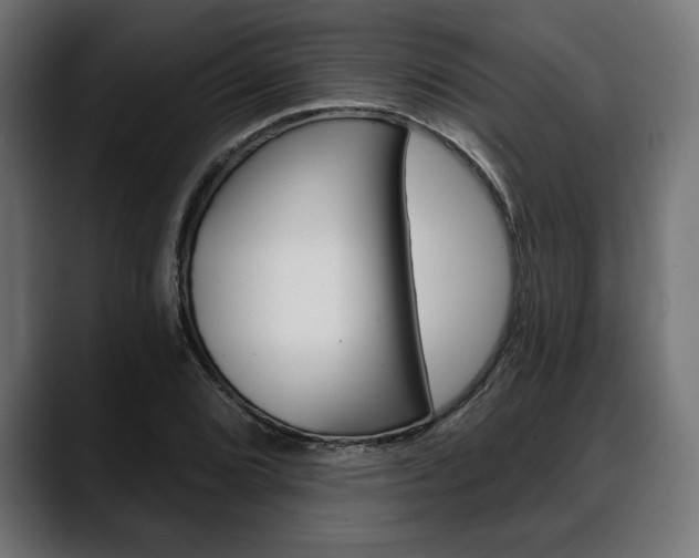 X0000088631072200705250853