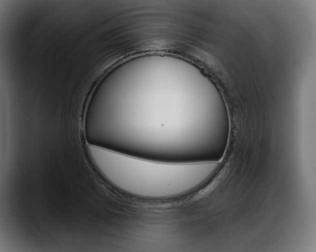 X0000088631073200705250853