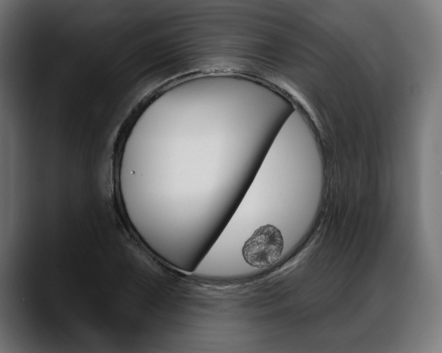 X0000088631075200705250853