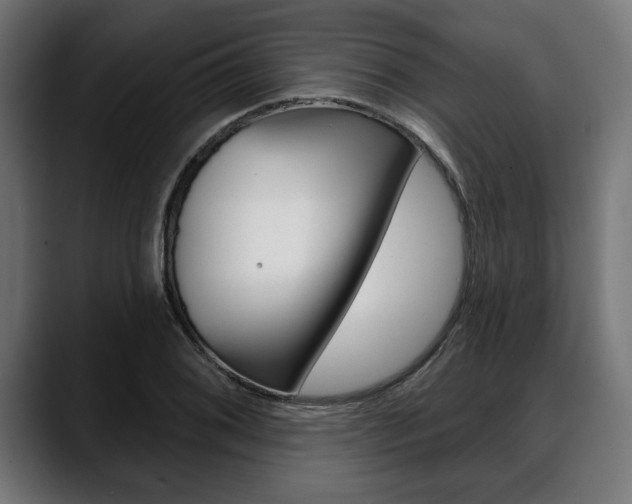 X0000088631076200705250853