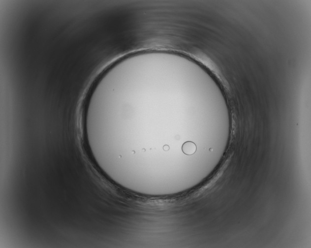 X0000088631078200705250853