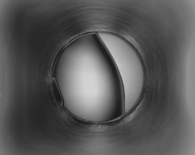X0000088631081200705250853