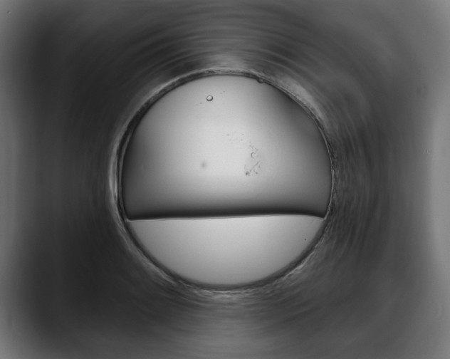 X0000088631084200705250853