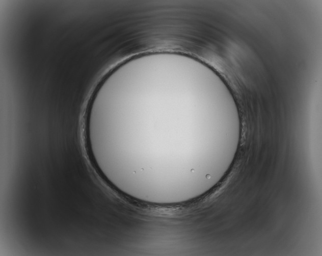 X0000088631086200705250853