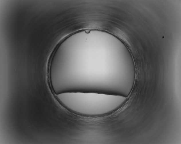 X0000088631087200705250853