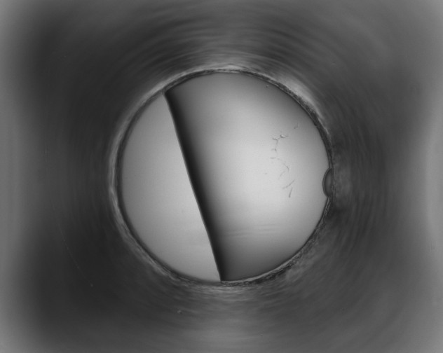 X0000088631088200705250853