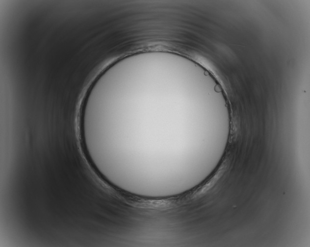 X0000088631090200705250853