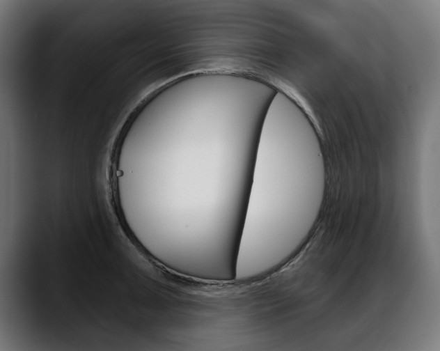 X0000088631091200705250853