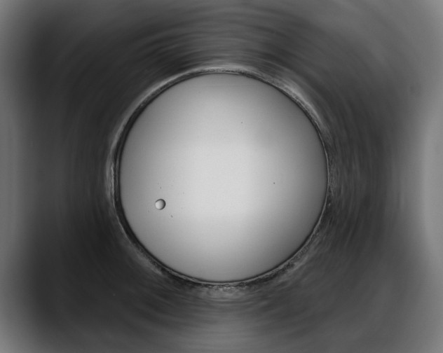X0000088631092200705250853