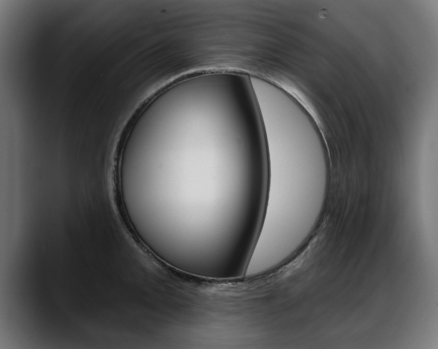 X0000088631093200705250853