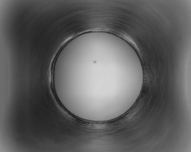 X0000088631095200705250853