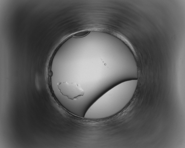 X0000088631099200705250853