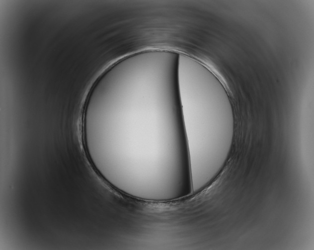 X0000088631100200705250853