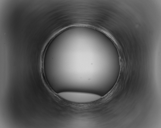 X0000088631101200705250853
