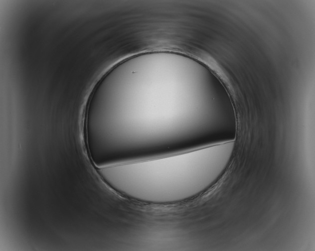 X0000088631102200705250853