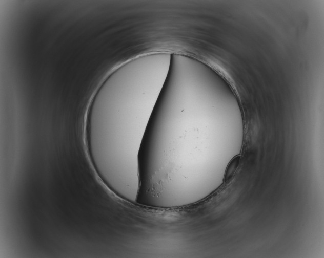 X0000088631103200705250853