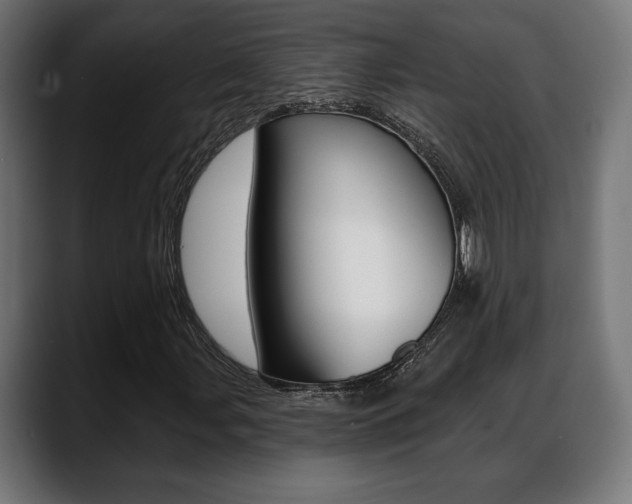 X0000088631107200705250852
