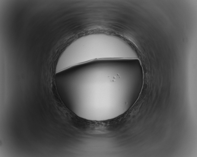 X0000088631111200705250852