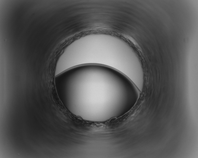 X0000088631112200705250852
