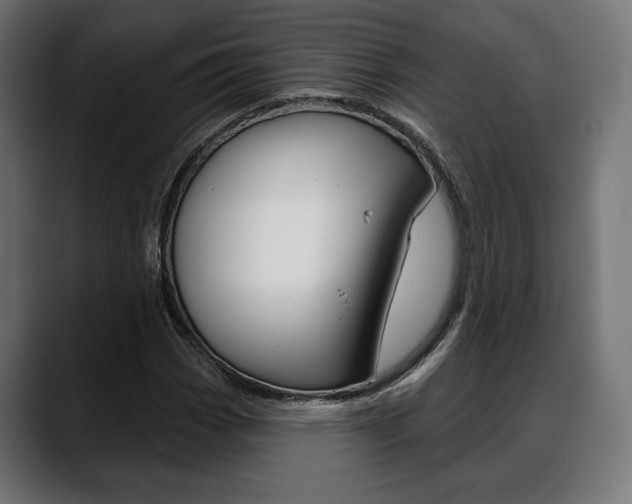 X0000088631113200705250852