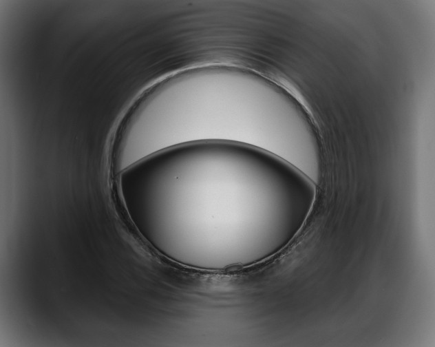 X0000088631116200705250852