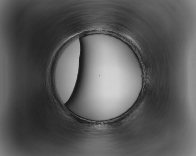 X0000088631117200705250852
