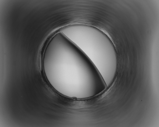 X0000088631123200705250852