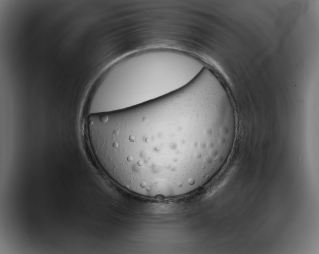 X0000088631125200705250852