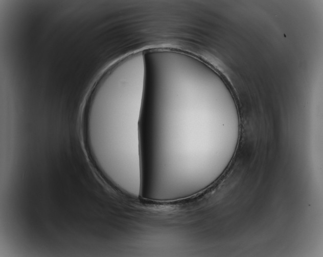X0000088631127200705250852