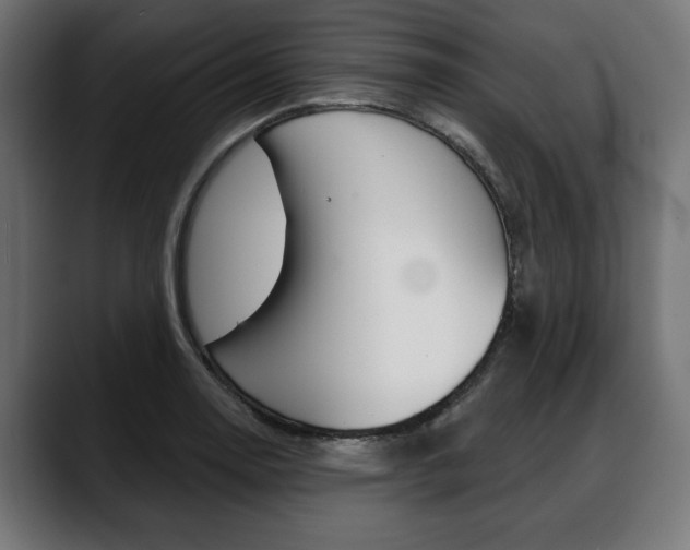 X0000088631130200705250852