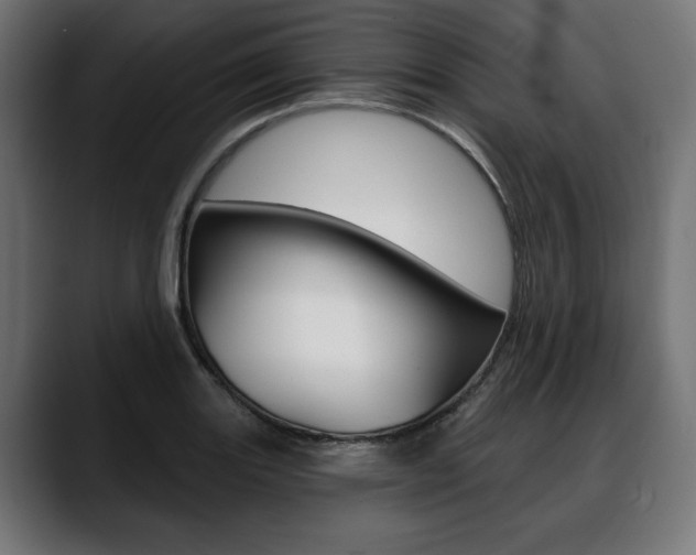 X0000088631131200705250852