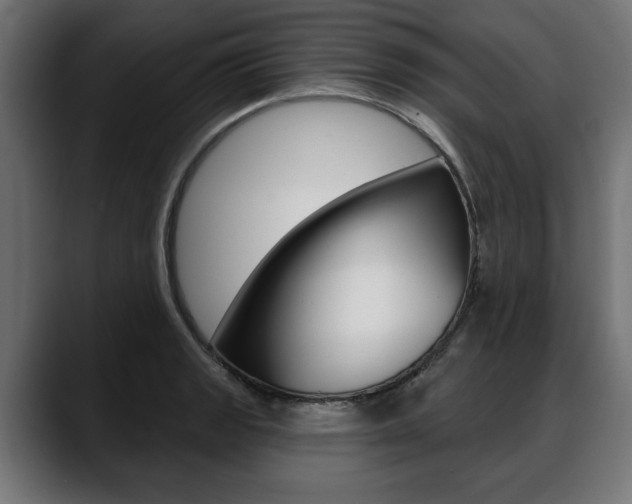 X0000088631133200705250853