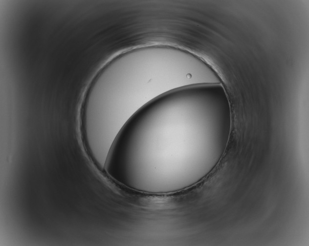 X0000088631134200705250853