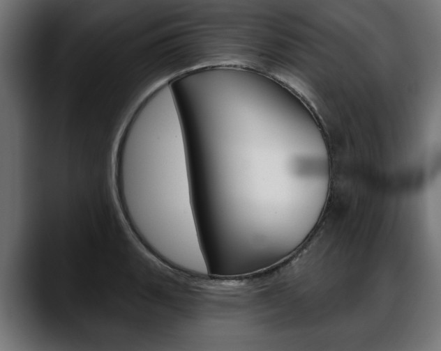 X0000088631135200705250853
