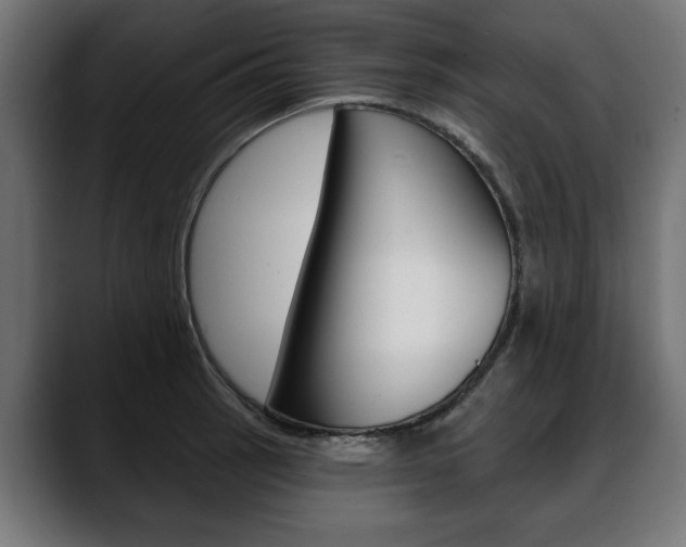 X0000088631137200705250853
