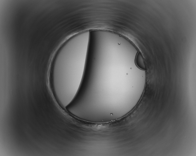 X0000088631139200705250853