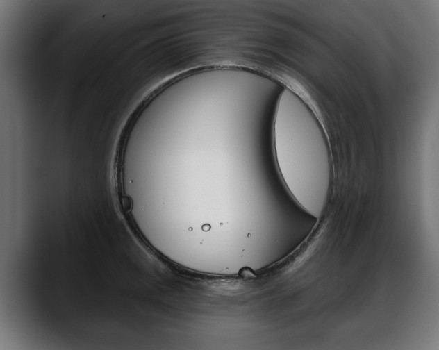 X0000088631141200705250853