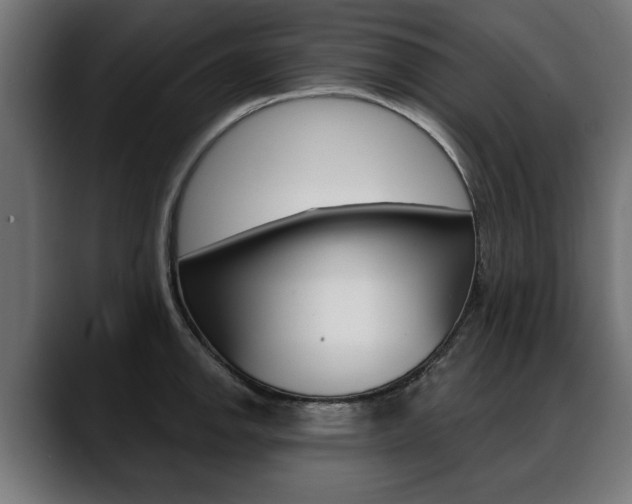 X0000088631142200705250853