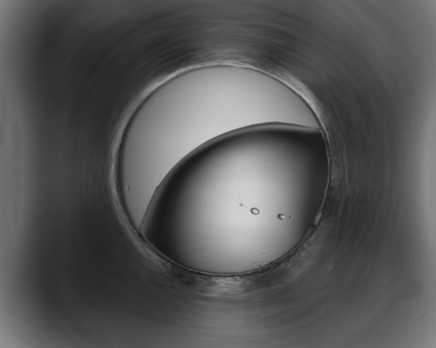 X0000088631144200705250853