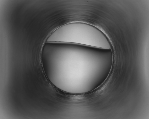 X0000088631145200705250853