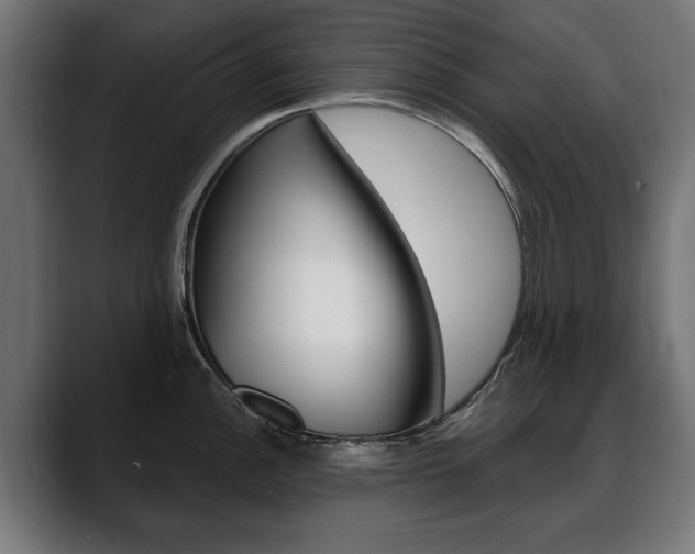 X0000088631148200705250853